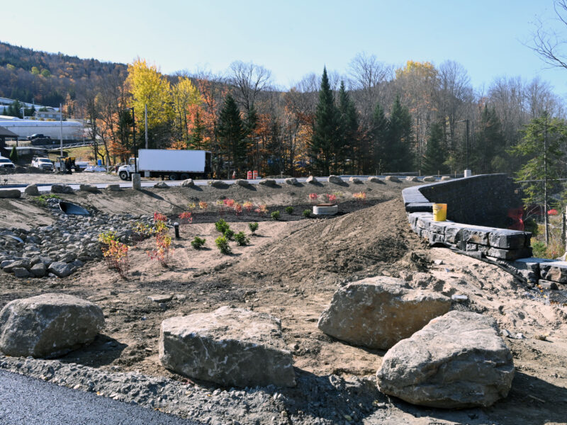 Construction site with rocks, shrubs, and stone wall.
